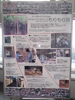 kawai.jpg