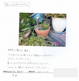 吉野.jpg