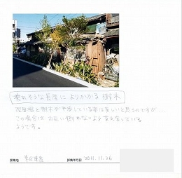 杉原.jpg